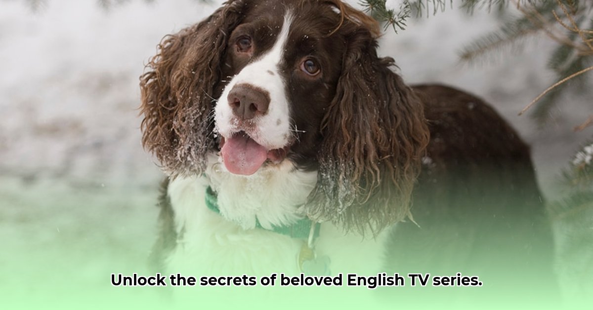 engelse-verzamelnaam-van-sentimentele-tv-series